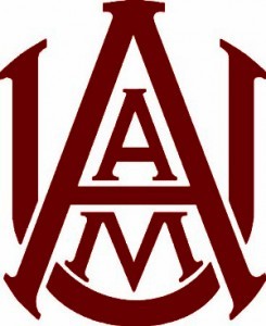 AAMU'S VERY OWN SOCIETY OF AMERICAN MILITARY ENGINEERS! We are open to all majors! We give students insight on internship and networking opportunities.