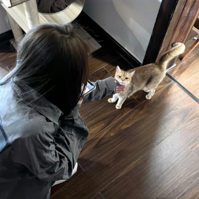 LRattie33336's profile picture. ここが私のホームページです💒
友達ができる❗️🙈
さらに小規模な専門家をドラッグします 🌚ふふふ~