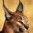 iteilb's profile image