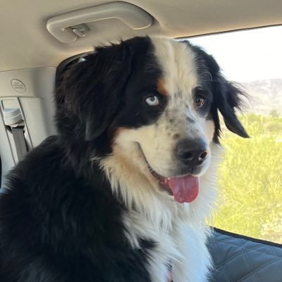 KimRSchofield's profile picture. 