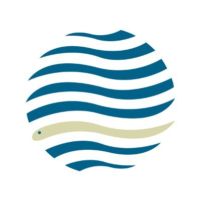Working to accelerate the recovery of the European eel