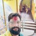 Ashutosh Trivedi (@trivedi62) Twitter profile photo Ashutosh Trivedi (@trivedi62) Twitter profile photo