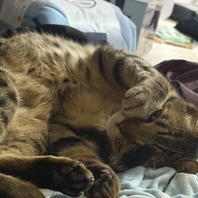 かくせいさんのプロフィール画像