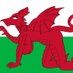 shywelshmama (@shywelshmama) Twitter profile photo shywelshmama (@shywelshmama) Twitter profile photo