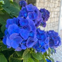 のり先生 (@nori44san) 's Twitter Profile