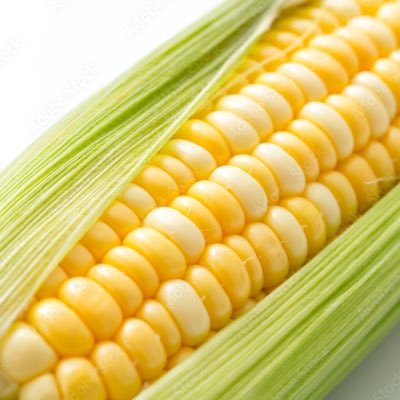 sdnds_7nmds's profile picture. 食べた物や好きな物の記録や思い出｡日常のつぶやき｡スーパーやコンビニのスイーツ､パン､アイス､レトロ､お笑い､バラエティ番組好き｡無言フォロー失礼いたします｡