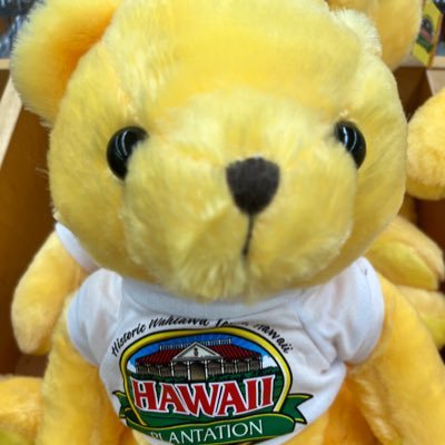 海外好き20代✌️カナダ🇨🇦ハワイ🍹🇮🇹🇭🇷🇻🇦🇲🇾🇮🇪🇳🇴🇦🇹🇳🇱🇸🇬🇪🇸🇸🇰🇹🇭🇨🇿🇹🇩🇩🇪🇰🇭🇭🇺🇵🇹🇪🇬🇻🇳🇧🇪🇲🇽🇱🇦🇭🇰🇬🇷🇱🇰🇹🇷🇹🇼🇵🇭🇮🇩🇵🇱他 仕事や旅で海外ふらり💻
