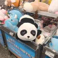 little (@ellaroleplays) 's Twitter Profile