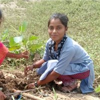 Devika Sahare (@devikasaha70591) 's Twitter Profile