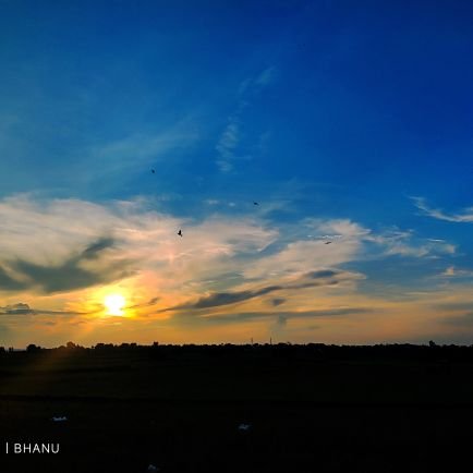 shiavhs's profile picture. staying at High vibration