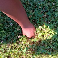 Nate Williams (@natewilliams) 's Twitter Profile