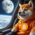 (BTC生态)DOG信仰者 (@reklambol) Twitter profile photo (BTC生态)DOG信仰者 (@reklambol) Twitter profile photo