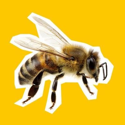 @Beespeaker