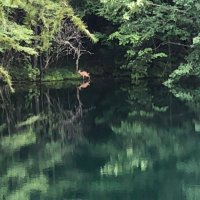 プリエ (@etoileplie) 's Twitter Profile Photo