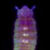 Insect Symbiosis Lab (@kaltenpoth_lab) Twitter profile photo Insect Symbiosis Lab (@kaltenpoth_lab) Twitter profile photo