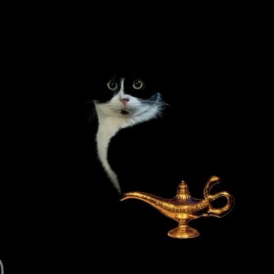 moli575702's profile picture. 