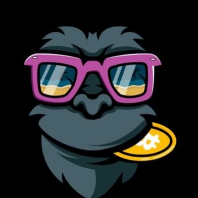 web3 enthusiast | Love memes