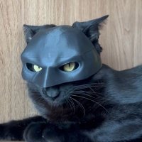 Daniel Crypto NFT Defi (@danielcguasti) 's Twitter Profile