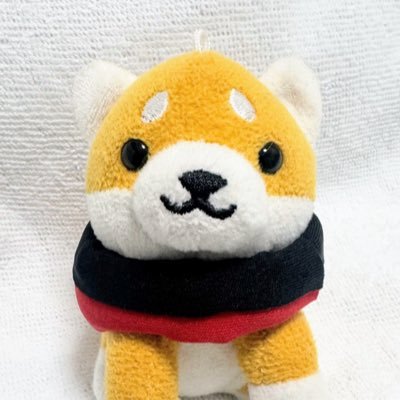 mucolabo's profile picture. 傘和地むこら／札幌在住／前世は地球上の生物ではないと言われた人間  #北海道コンサドーレ札幌 #宮澤裕樹 #青木亮太 #西野奨太 #福森晃斗 とか…結局みんな！#阿部勇樹 #蹴球メガネーズ 部員 #柴犬茶名(ちゃな) ラリーのコ・ドラやってます #rally #codriver #shibainu