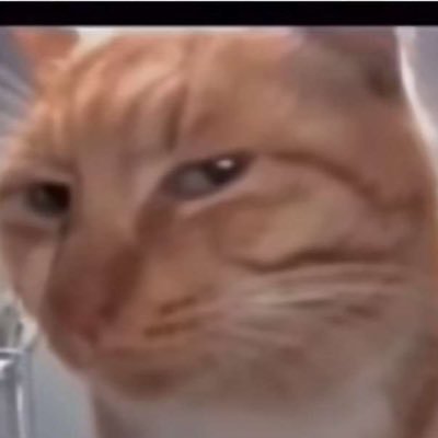 marston_mack's profile picture. 