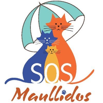 Sos_Maullidos's profile picture. Cuidem els gats del carrer de Pallejà, Fontpineda i La Magina. Alimentem colònies i apliquem el mètode CER (Captura, Esterilització i Retorn). Vols adoptar?