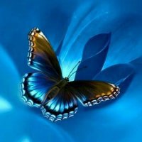 𝐑 ü 𝐳 𝐠 𝐚 𝐫 🦋 (@r_z_gr) 's Twitter Profile Photo 𝐑 ü 𝐳 𝐠 𝐚 𝐫 🦋 (@r_z_gr) 's Twitter Profile Photo