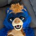 Bodi🔜FWA/MP (@bodiraccoon) Twitter profile photo Bodi🔜FWA/MP (@bodiraccoon) Twitter profile photo