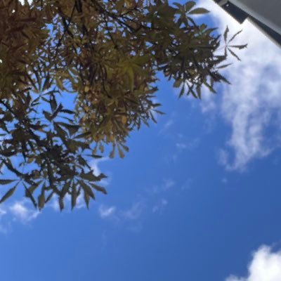 orenda321's profile picture. tıp fakültesi