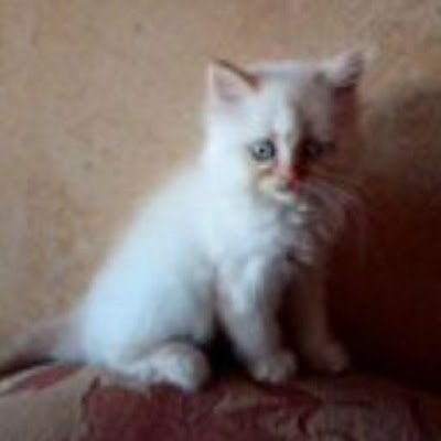 AllhN2852's profile picture. 