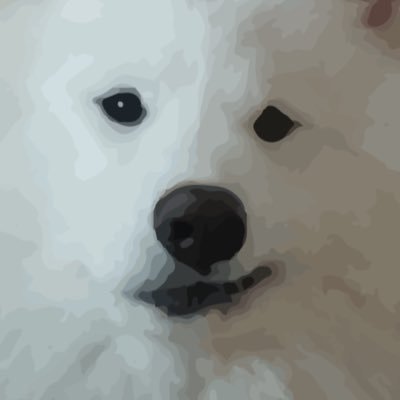 BruceTheAsian's profile picture. Full time stupid, part time dumbass.