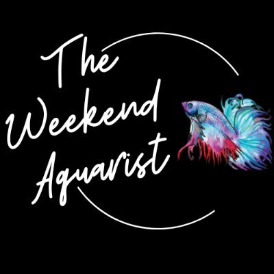 theweekendaqua's profile picture. 