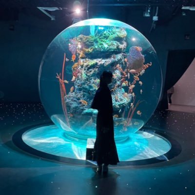 yorumemory's profile picture. 𝟢𝟤/ヨルシカ𐂂/後書き🎧🪽 〰️