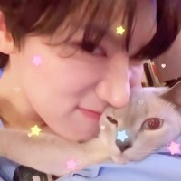 ౨ৎ⋆ ststล์ ˚。⋆ (@mexdt_) 's Twitter Profile Photo ౨ৎ⋆ ststล์ ˚。⋆ (@mexdt_) 's Twitter Profile Photo