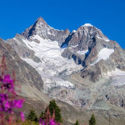 c208936293's profile picture. 💡 Crypto evangelist | Passionate about decentralization and financial freedom | Bitcoin, Ethereum, and Web3 | Let's #HODL together!