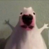 Walter (@walter2093191) 's Twitter Profile Photo Walter (@walter2093191) 's Twitter Profile Photo