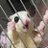 FF外からモモンガします(ぐっさん)