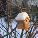 Kevin Freel - @kfreel1 - Twitter