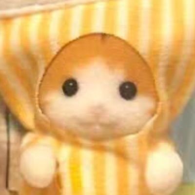 Jdakasetek67340's profile picture. 喵喵