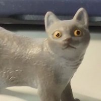 かっぺ (@main_dot_cpp) 's Twitter Profile