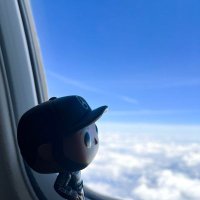 Sean-Anderson12 (@seanandi12) 's Twitter Profile