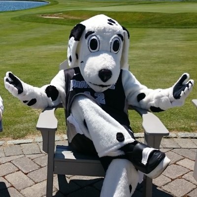 treyS13's profile picture. 