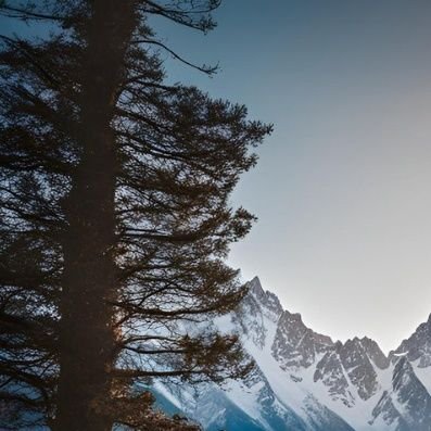 horahora0010000's profile picture. Nothing...