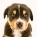 lola (@bakinglover136) Twitter profile photo lola (@bakinglover136) Twitter profile photo