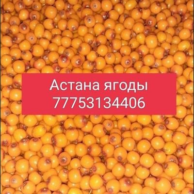 zhidekastana's profile picture. Доставка Астана ягоды жидектер овощи фрукты
