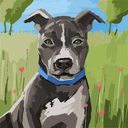 Walter Doyle - @walter_doy88207 - Twitter