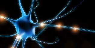 2nd International Conference on Central Nervous System - Drugs Effects & Novel Drug Development during 7- 9,2013 Las Vegas, USA