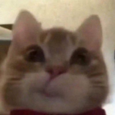 fixseizq's profile picture. 