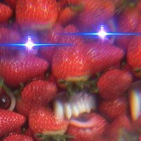ProbablyOnLSD69 (@probablyonlsd69) 's Twitter Profile