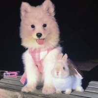 cloud_yede_☁️ (@runningonlindi) 's Twitter Profile Photo