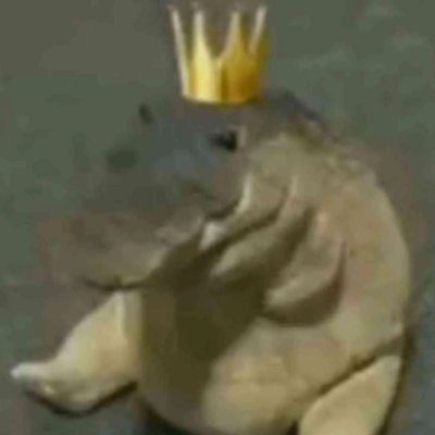 Tokyo5O1's profile picture. ummmmm